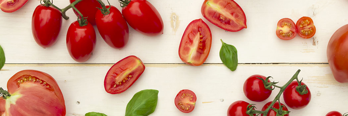 Italian Tomatoes harvest news 2020